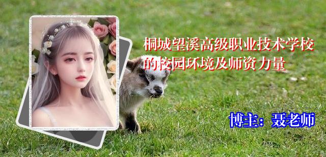 桐城望溪高级职业技术学校的校园环境及师资力量