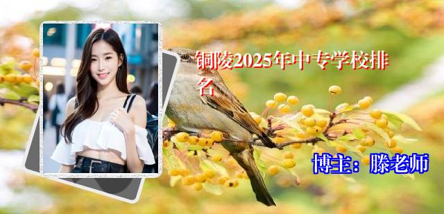 铜陵2025年中专学校排名