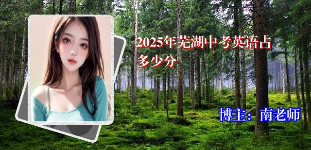 2025年芜湖中考英语占多少分