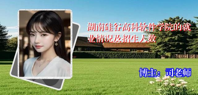 湖南硅谷高科软件学院的就业情况及招生人数