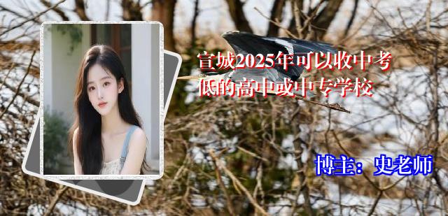 宣城2025年可以收中考低的高中或中专学校