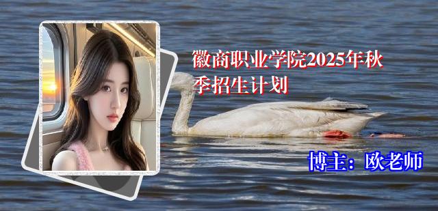 徽商职业学院2025年秋季招生计划