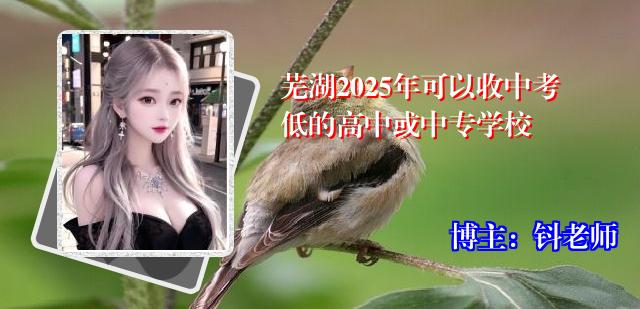 芜湖2025年可以收中考低的高中或中专学校