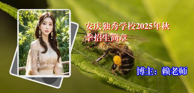 安庆独秀学校2025年秋季招生简章