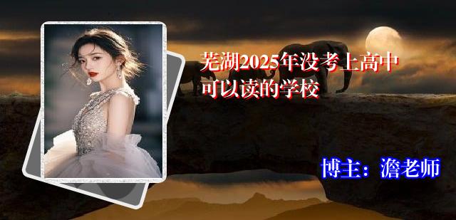 芜湖2025年没考上高中可以读的学校