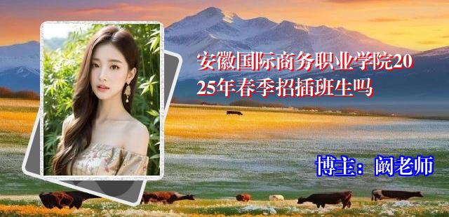 安徽国际商务职业学院2025年春季招插班生吗