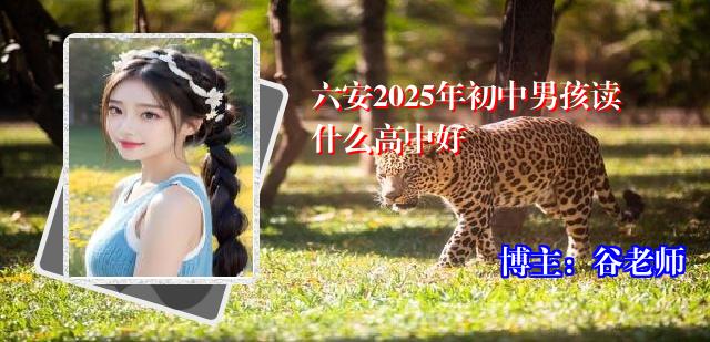 六安2025年初中男孩读什么高中好