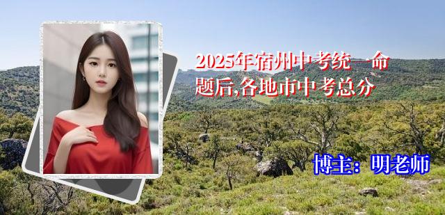2025年宿州中考统一命题后,各地市中考总分