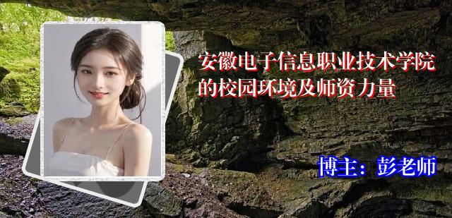 安徽电子信息职业技术学院的校园环境及师资力量