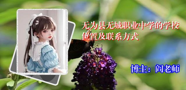 无为县无城职业中学的学校位置及联系方式