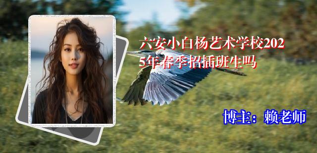 六安小白杨艺术学校2025年春季招插班生吗