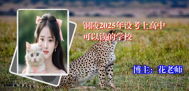 铜陵2025年没考上高中可以读的学校