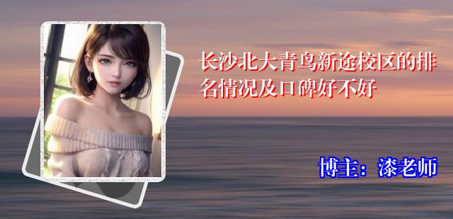 长沙北大青鸟新途校区的排名情况及口碑好不好