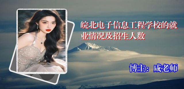 皖北电子信息工程学校的就业情况及招生人数