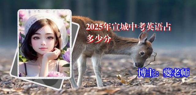 2025年宣城中考英语占多少分