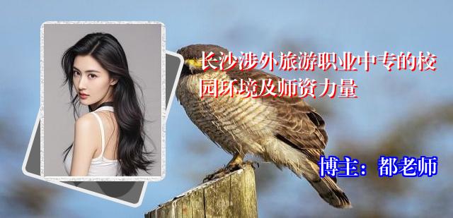 长沙涉外旅游职业中专的校园环境及师资力量