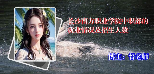 长沙南方职业学院中职部的就业情况及招生人数