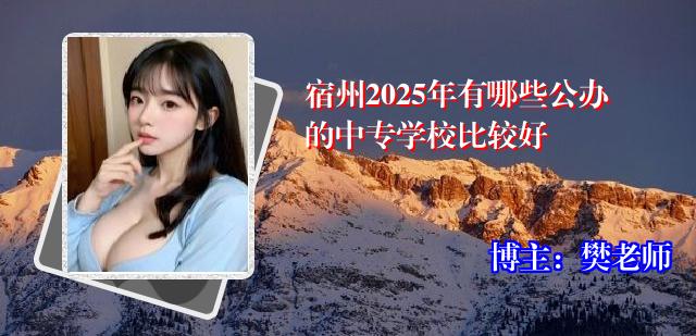 宿州2025年有哪些公办的中专学校比较好