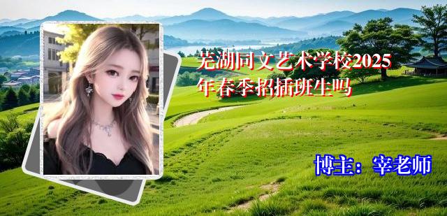 芜湖同文艺术学校2025年春季招插班生吗