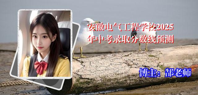 安徽电气工程学校2025年中考录取分数线预测