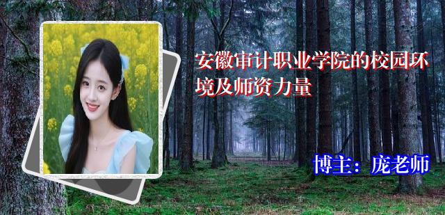 安徽审计职业学院的校园环境及师资力量