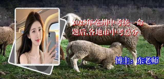 2025年亳州中考统一命题后,各地市中考总分