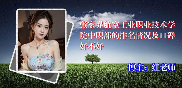 张家界航空工业职业技术学院中职部的排名情况及口碑好不好