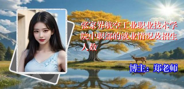 张家界航空工业职业技术学院中职部的就业情况及招生人数