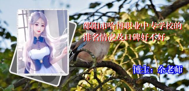 邵阳市哈博职业中专学校的排名情况及口碑好不好