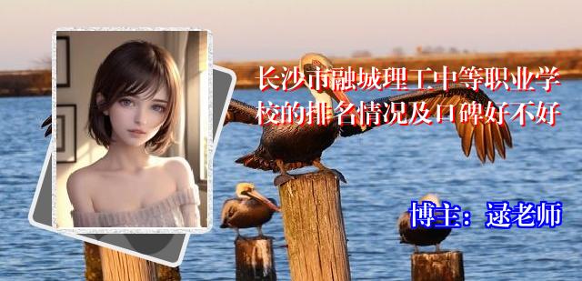 长沙市融城理工中等职业学校的排名情况及口碑好不好