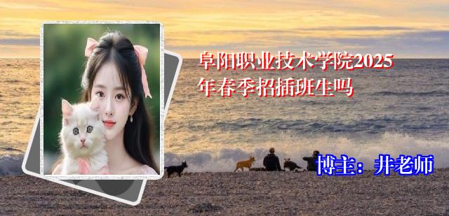 阜阳职业技术学院2025年春季招插班生吗