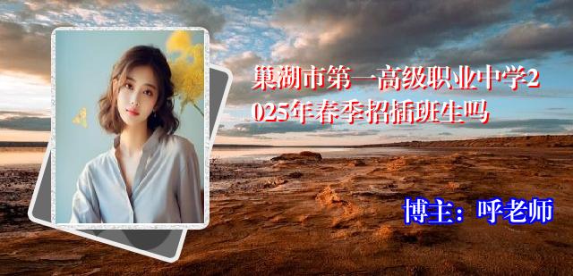 巢湖市第一高级职业中学2025年春季招插班生吗