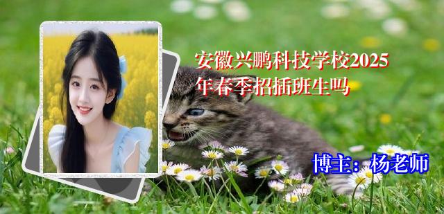 安徽兴鹏科技学校2025年春季招插班生吗