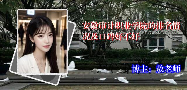 安徽审计职业学院的排名情况及口碑好不好