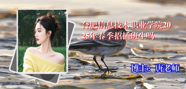 合肥信息技术职业学院2025年春季招插班生吗