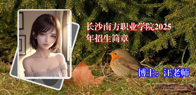 长沙南方职业学院2025年招生简章
