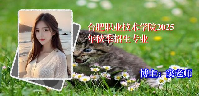 合肥职业技术学院2025年秋季招生专业