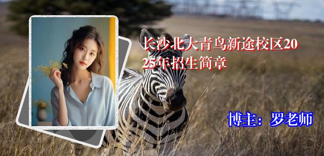 长沙北大青鸟新途校区2025年招生简章