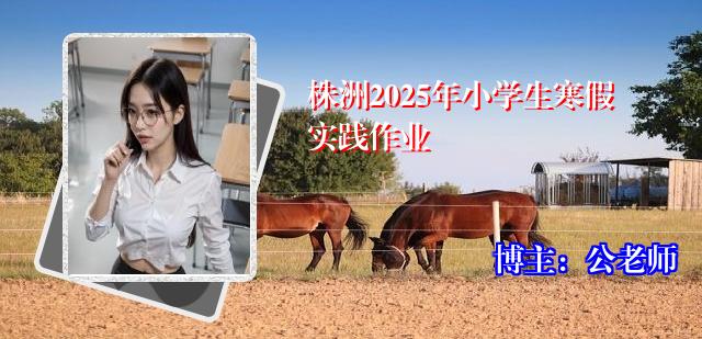 株洲2025年小学生寒假实践作业