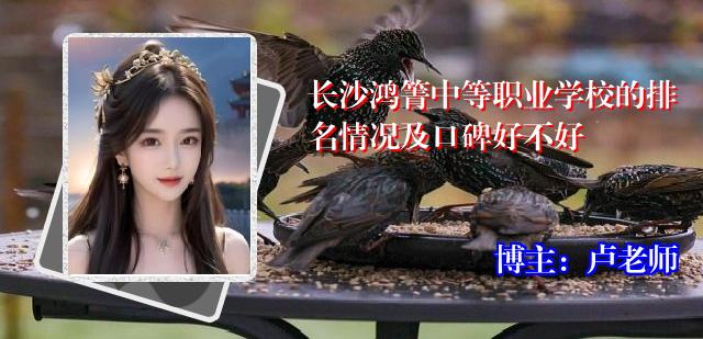 长沙鸿箐中等职业学校的排名情况及口碑好不好