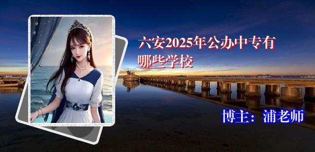 六安2025年公办中专有哪些学校