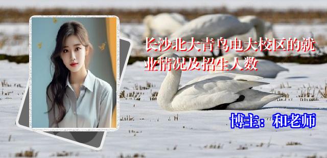 长沙北大青鸟电大校区的就业情况及招生人数