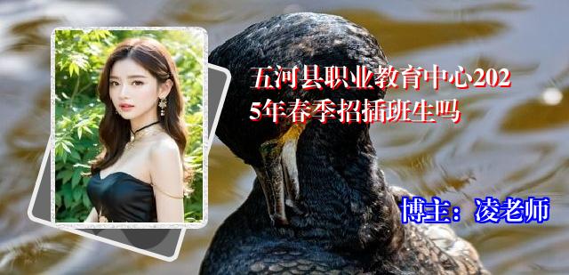 五河县职业教育中心2025年春季招插班生吗