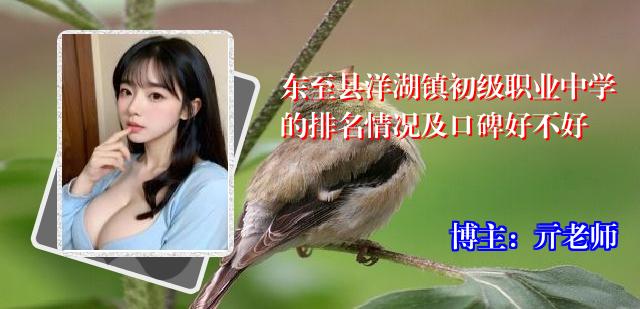 东至县洋湖镇初级职业中学的排名情况及口碑好不好