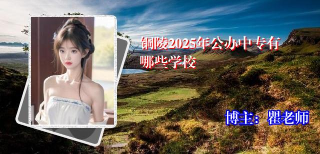 铜陵2025年公办中专有哪些学校
