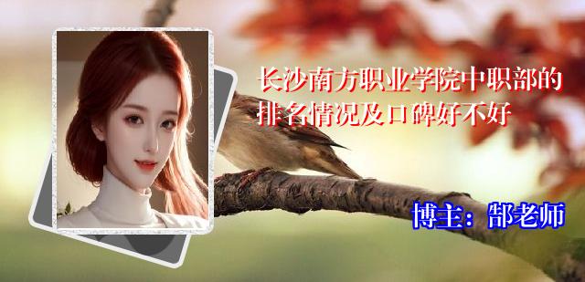 长沙南方职业学院中职部的排名情况及口碑好不好