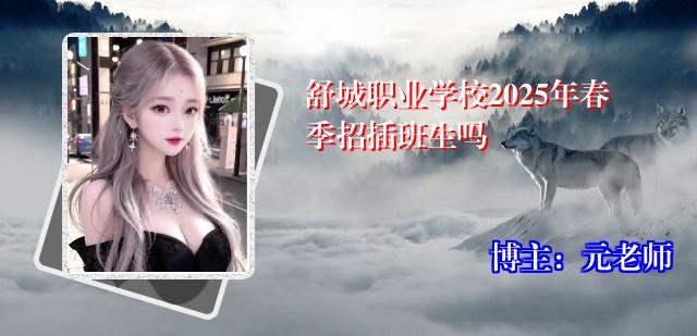 舒城职业学校2025年春季招插班生吗