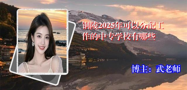 铜陵2025年可以分配工作的中专学校有哪些