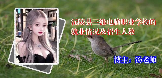 沅陵县三维电脑职业学校的就业情况及招生人数