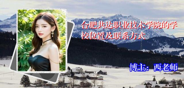 合肥共达职业技术学院的学校位置及联系方式